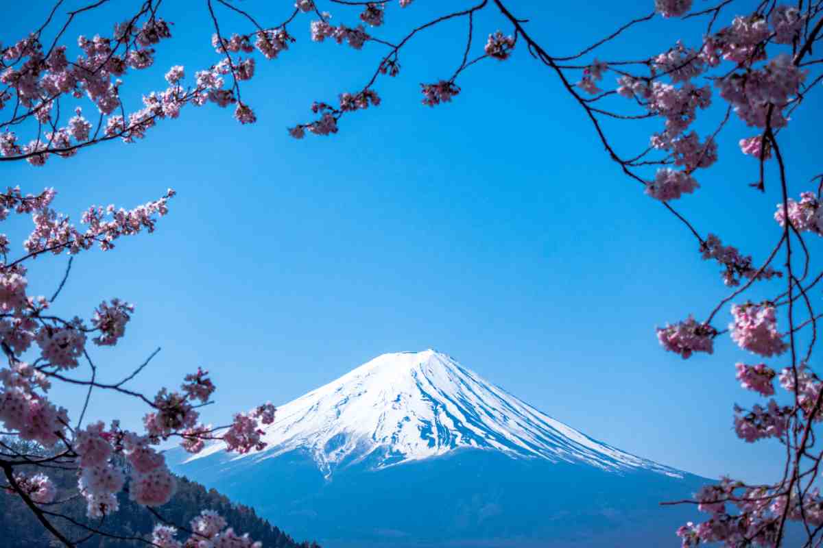 Monte Fuji e ciliegi come fossero una cornice