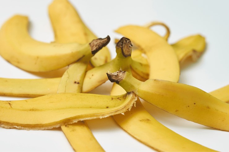 Le bucce delle banane possono essere usate per curare le piante