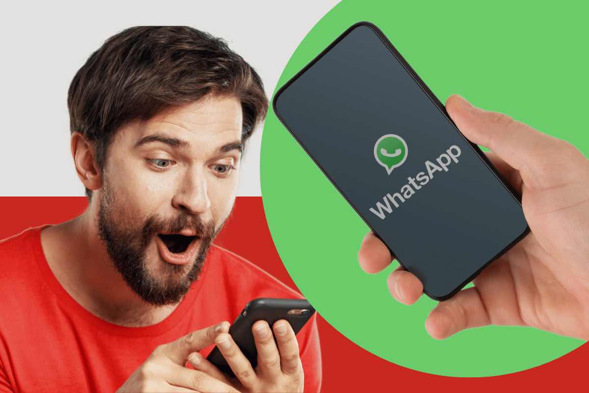 Novità WhatsApp, cosa cambia con l'aggiornamento