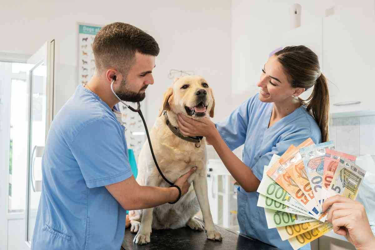 detrazione IRPEF spese veterinarie