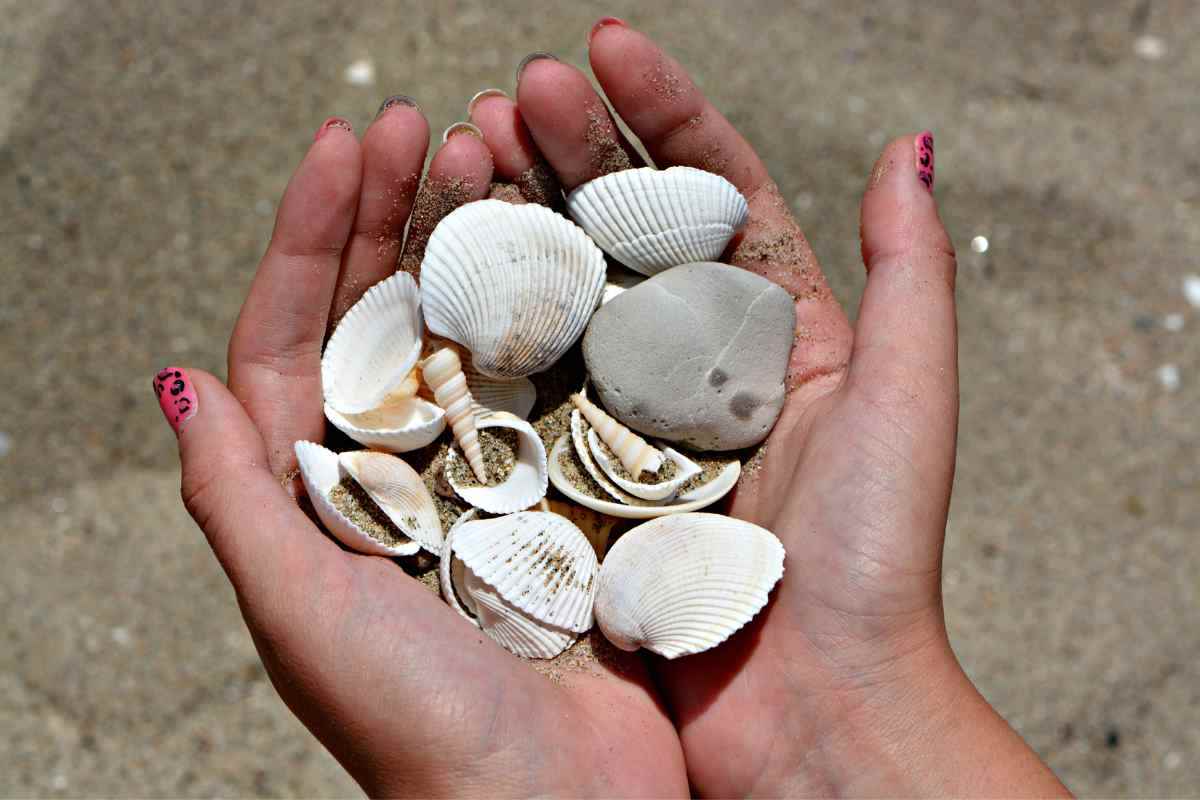 Non si possono raccogliere conchiglie e sassi in spiaggia