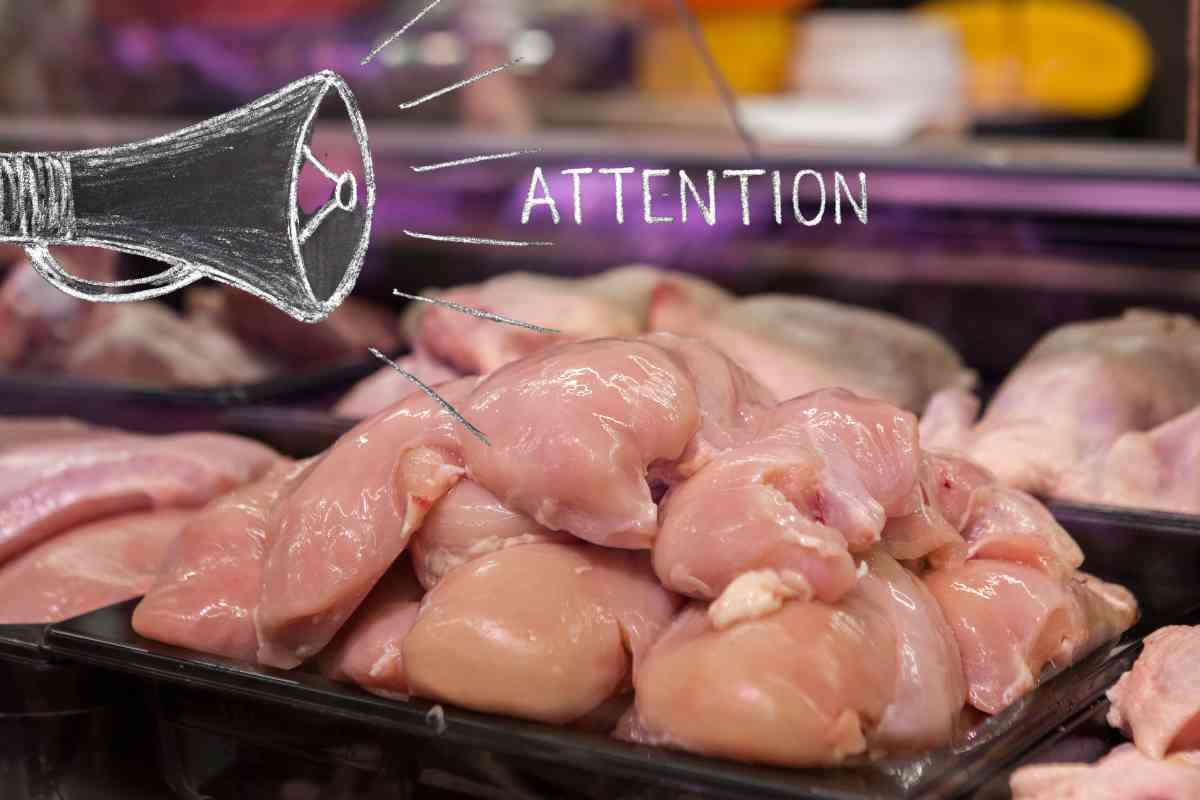 Pollo con rischio microbiologico, lotti interessati