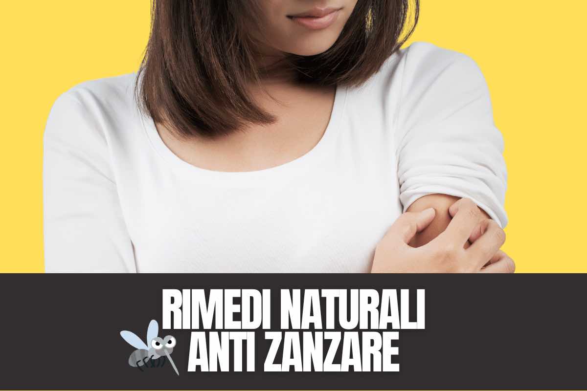 Rimedi naturali anti zanzare