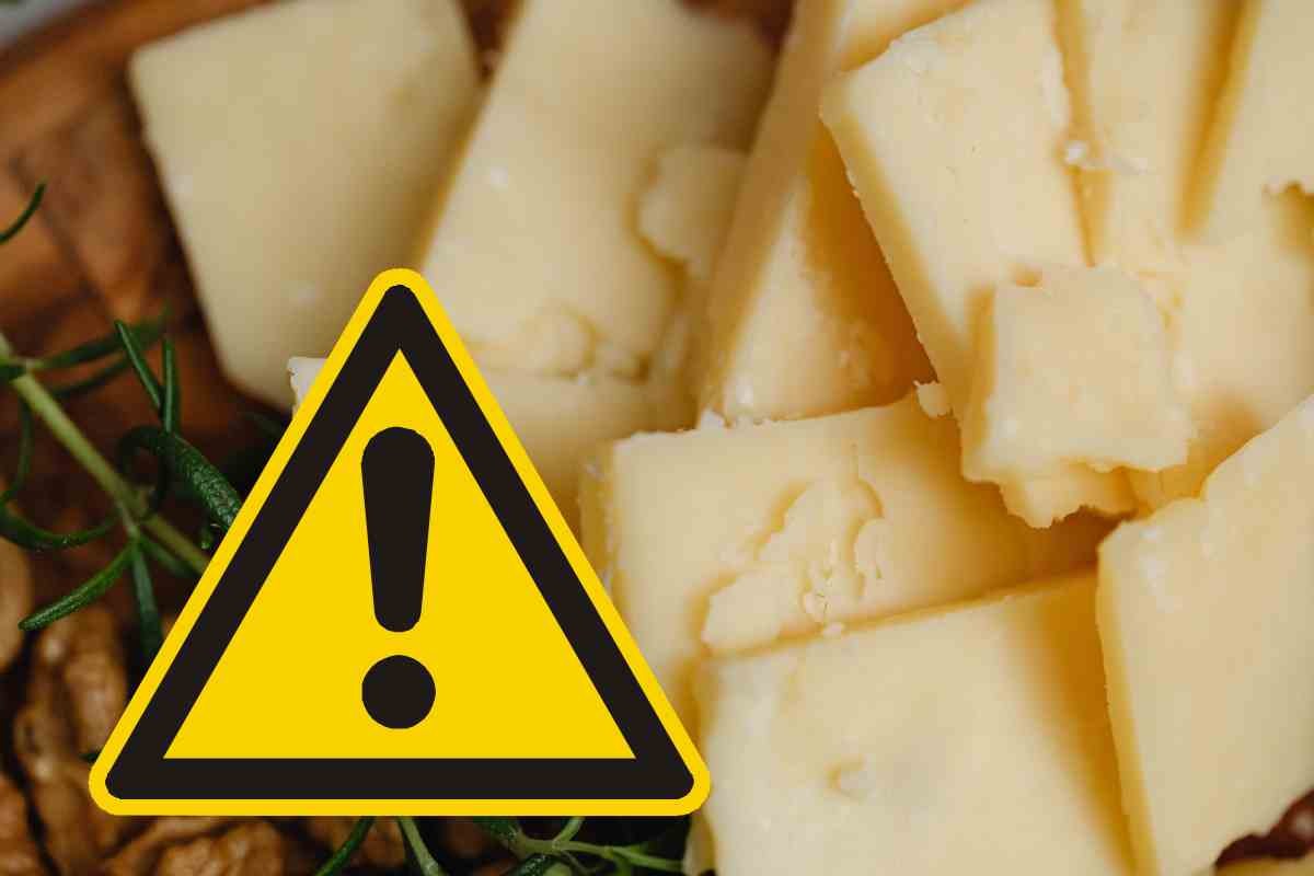 Listeria nel formaggio, marchi e lotti ritirati